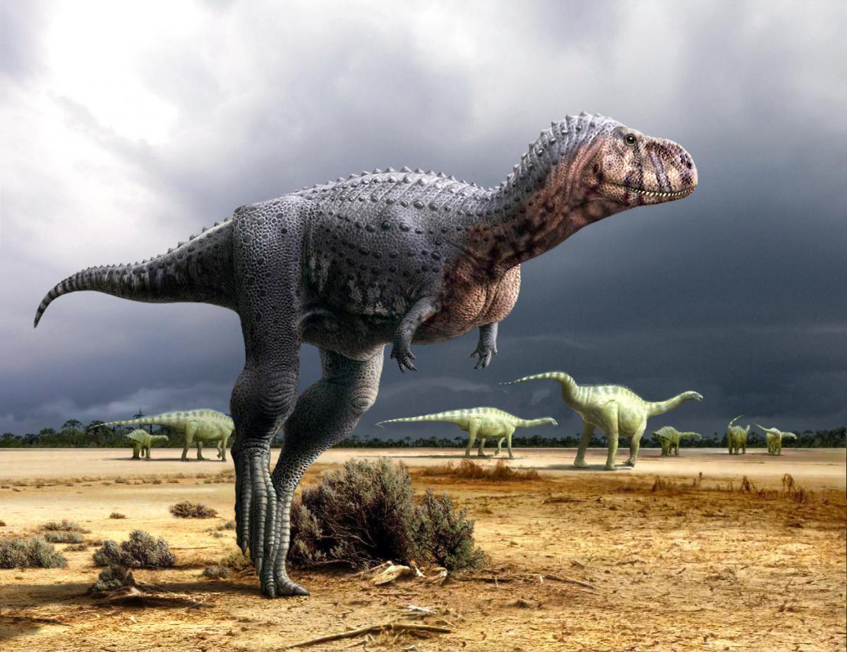 10 Famous Australian Dinosaurs Paleontology World
